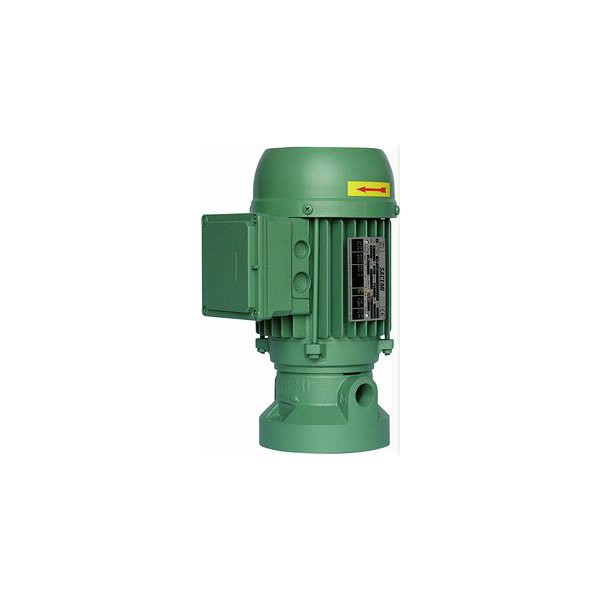 SACEMI PUMP AU63