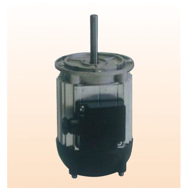 FAN MOTOR 2P